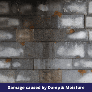 Damage cause by Damp & Moisture