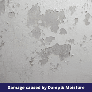 Damage cause by Damp & Moisture