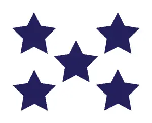 5 star service by toner damp proofing ltd