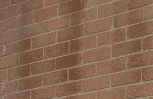 Penetrating Damp being diagnosed By Toner Damp Proofing Ltd in Belfast Northern Ireland