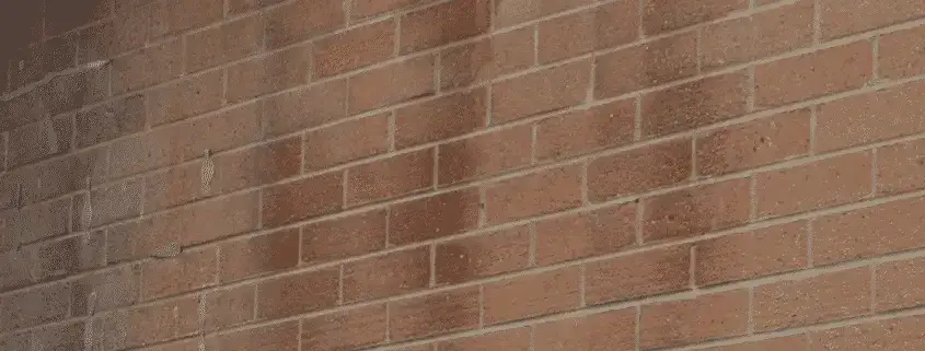 Penetrating Damp Being Diagnosed By Toner Damp Proofing Ltd In Belfast Northern Ireland Penetrating Damp being diagnosed By Toner Damp Proofing Ltd in Belfast Northern Ireland