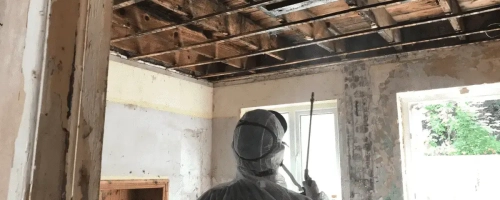 Wet Rot