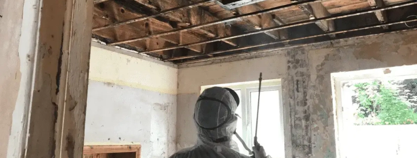 7 Wet Rot